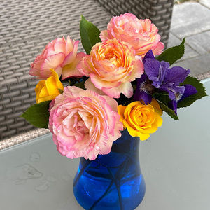 Meet your Posher, Barbara